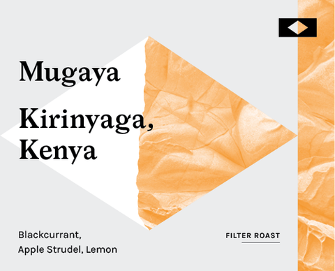 Mugaya, Kenya - Filter Roast