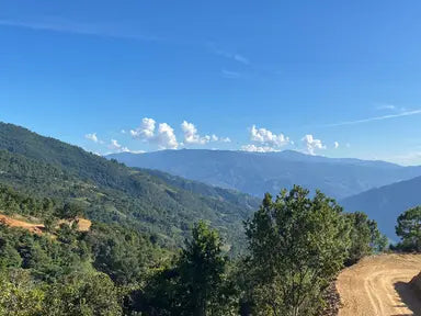 Flor de Corazon, Mexico - Espresso Roast