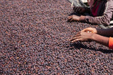Jigesa Natural, Ethiopia - Espresso Roast