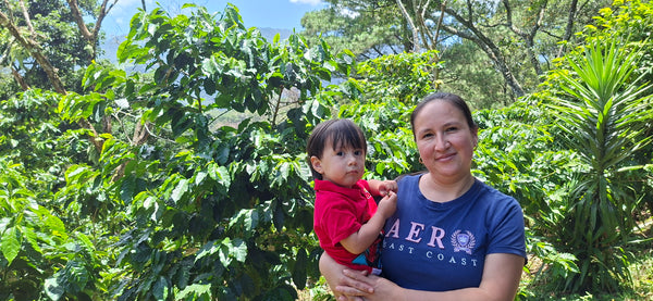 Perfil Petalo, El Salvador - Espresso Roast
