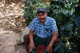 El Calagual Natural, Guatemala - Filter Roast