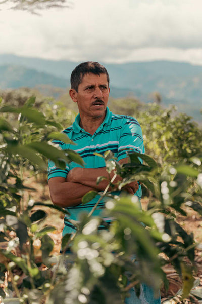Luis Anibal Calderon, Colombia - Limited Release Filter Roast
