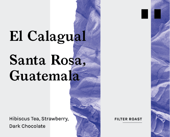 El Calagual Natural, Guatemala - Filter Roast