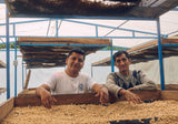 David Flores, Peru - Filter Roast
