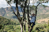 El Calagual Natural, Guatemala - Filter Roast