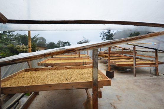 Los Nogales, Colombia - Espresso Roast