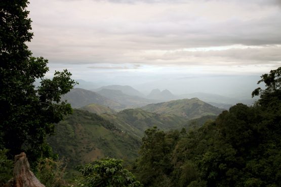 El Jardín, Colombia - Espresso Roast