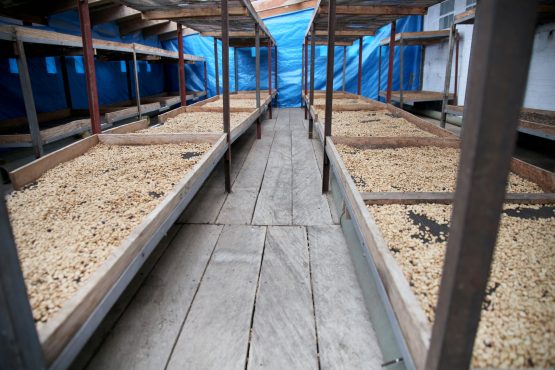 El Jardín, Colombia - Espresso Roast