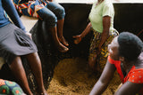 Giku, Burundi - Filter Roast