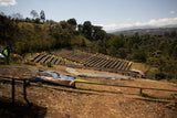 Werka Natural, Ethiopia - Espresso Roast