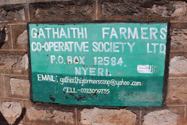 Gathaithi Peaberry, Kenya - Espresso Roast