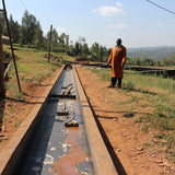Gathaithi Peaberry, Kenya - Espresso Roast