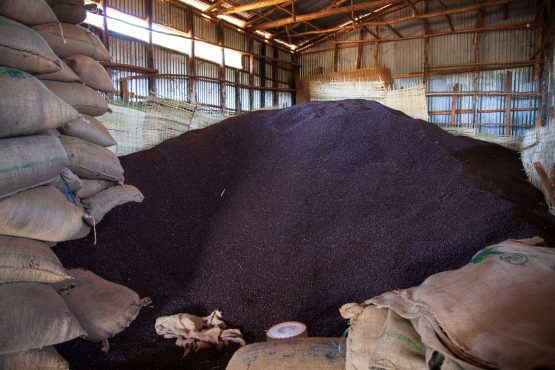 Hadeso, Ethiopia - Espresso Roast