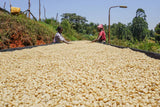 Kii, Kenya - Filter Roast