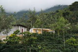 La Unión “Amarillo”, Guatemala - Filter Roast