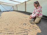 Maidy Bocanegra, Colombia - Filter Roast