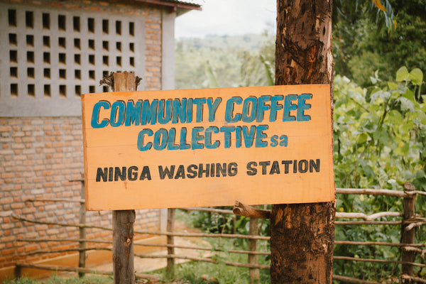 Giku, Burundi - Filter Roast