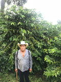 Mirravale, Mexico - Espresso Roast