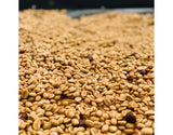 Campo Hermoso, Honey Malolactic Mossto C.M - Limited Release Filter Roast