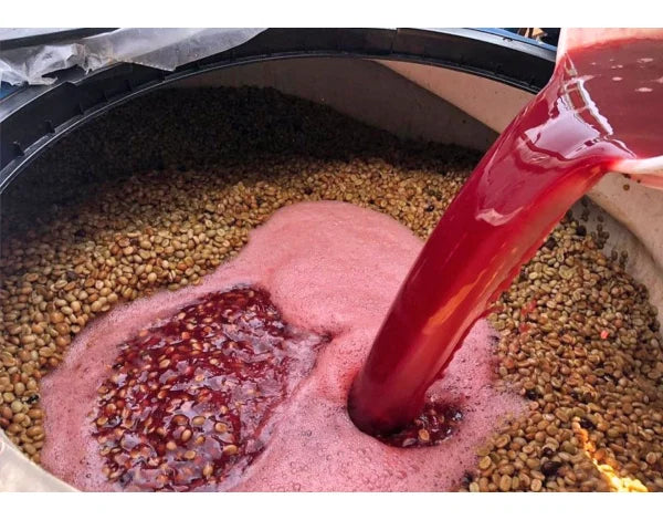 Campo Hermoso, Honey Malolactic Mossto C.M - Limited Release Filter Roast